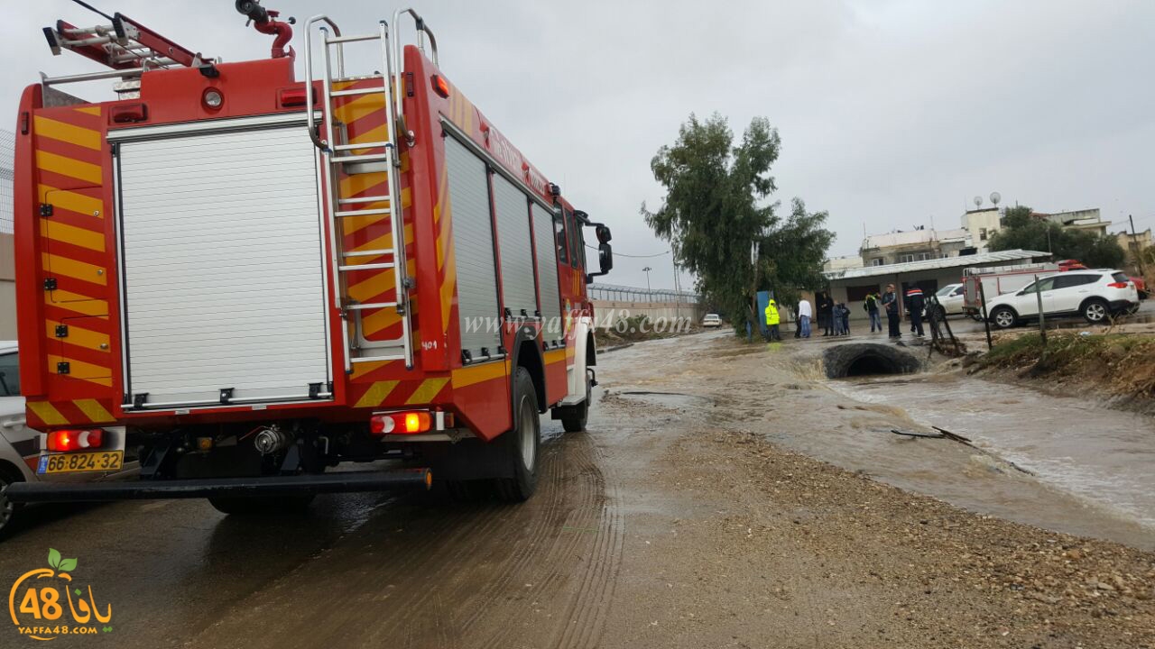 Car lud jana (1).jpg